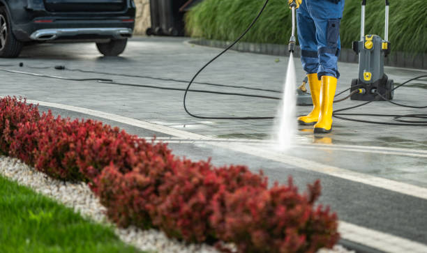 Best Roof Washing  in Barre, VT